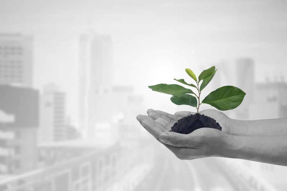 Best Branding company in Chennai